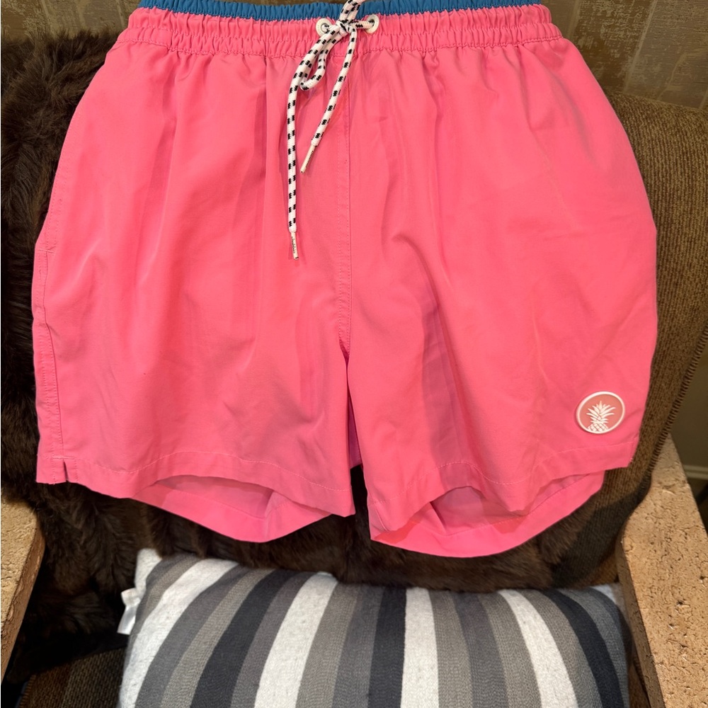 Chubbies Blue‎ and Pink Swim Shorts medium